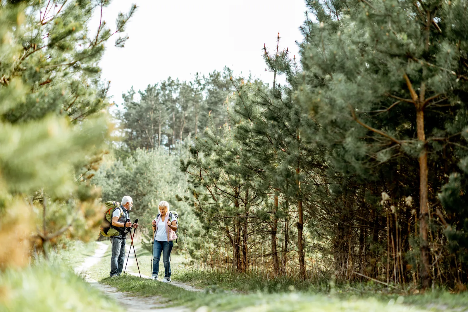 Et eldre par på tur i skogen